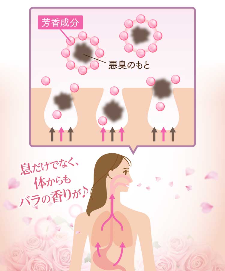 息だけでなく、体からもバラの香りが♪