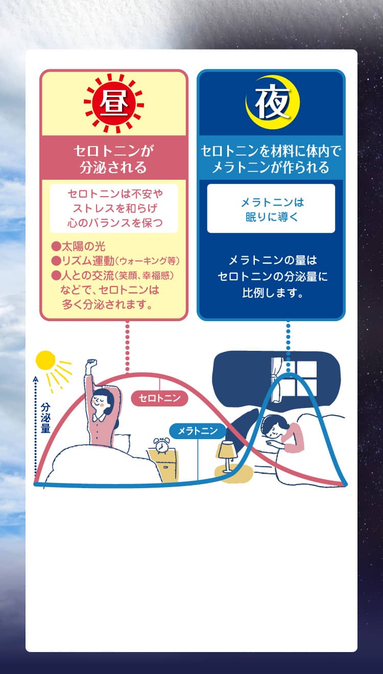 「昼」セロトニンが分泌される（セロトニンは不安やストレスを和らげ心のバランスを保つ）→「夜」セロトニンを材料に体内でメラトニンが作られる（メラトニンは眠りに導く）
