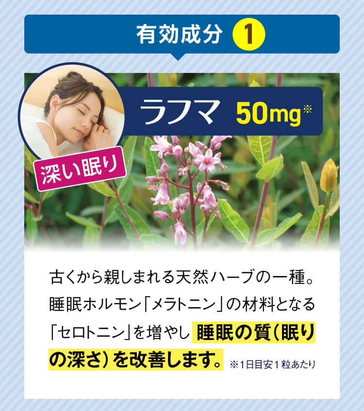 有効成分1[ラフマ] 古くから親しまれる天然ハーブの一種。睡眠ホルモン「メラトニン」の材料となる「セロトニン」を増やし睡眠の質（眠りの深さ）を改善します。