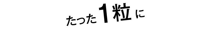 たった1粒に