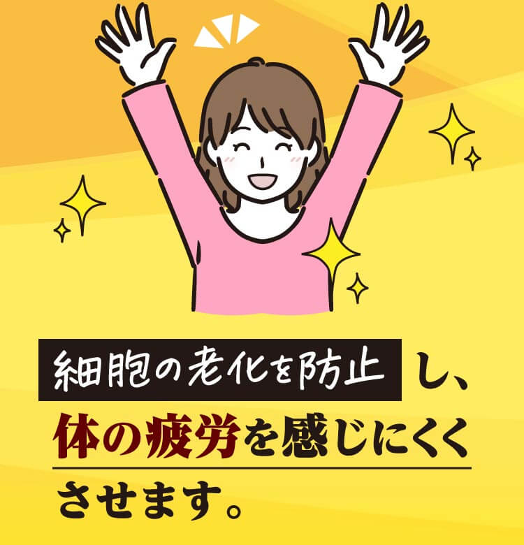 細胞の老化を防止し、体の疲労を感じにくくさせます。