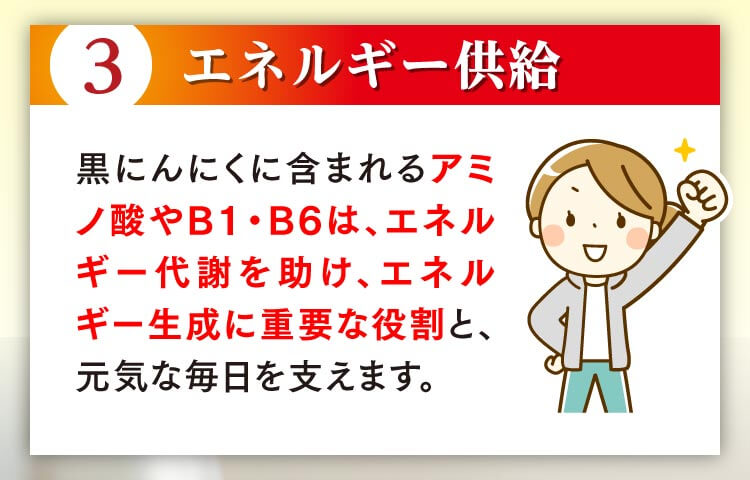 3.エネルギー供給 黒にんにくに含まれるアミノ酸やB1・B6は、エネルギー代謝を助け、エネルギー生成に重要な役割と、元気な毎日を支えます。 
