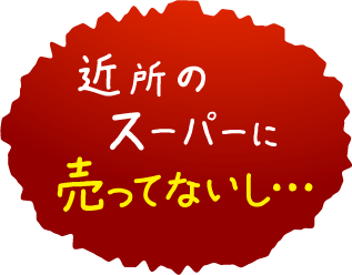近所のスーパーに売ってないし…