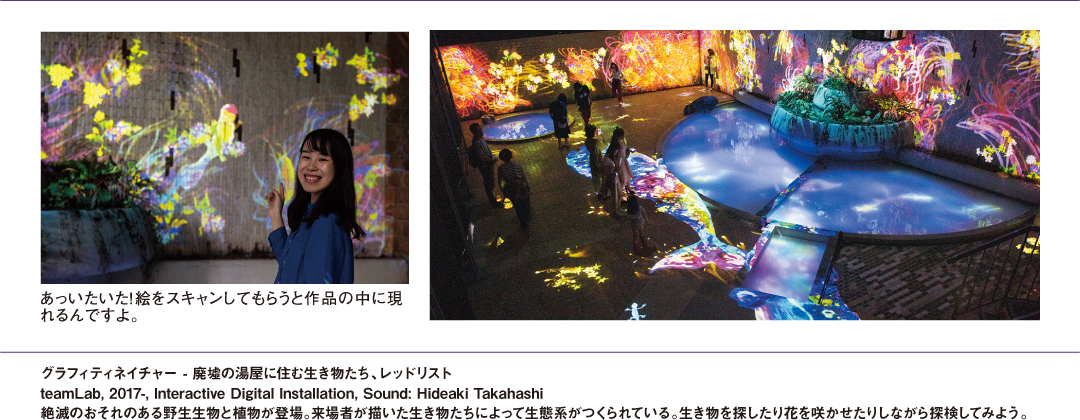 グラフィティネイチャー - 廃墟の湯屋に住む生き物たち、レッドリスト teamLab, 2017-, Interactive Digital Installation, Sound: Hideaki Takahashi絶滅のおそれのある野生生物と植物が登場。来場者が描いた生き物たちによって生態系がつくられている。生き物を探したり花を咲かせたりしながら探検してみよう。