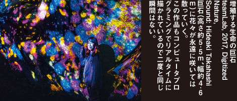 増殖する生命の巨石　teamLab, 2017, Digitized Nature, Sound: Hideaki Takahashi　巨石（高さ約5.5ｍ、幅約4.6ｍ）に花々が永遠に咲いては散っていく。この作品もコンピュータプログラミングでリアルタイムに描かれているので二度と同じ瞬間はない。