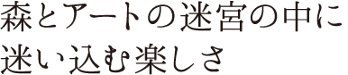 森とアートの迷宮の中に迷い込む楽しさ