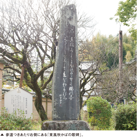 参道つきあたり右側にある「東風吹かばの歌碑」。