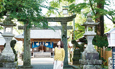 豊玉姫神社