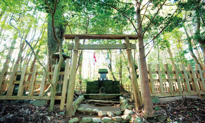 ひんやりとした空気に包まれた「高天原遥拝所」。天を仰いで深呼吸したくなりました。