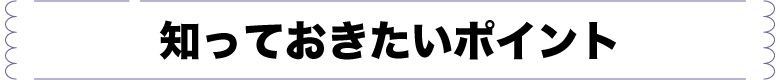 知っておきたいポイント見出し