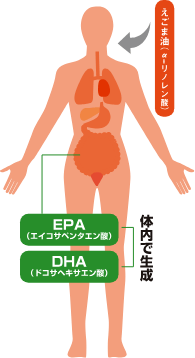 えごま油の圧搾方法