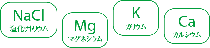 NaCl 塩化ナトリウム、Mg マグネシウム、K カリウム、Ca カルシウム