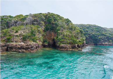 隆起した無人島