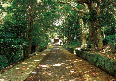 爾自神社の参道