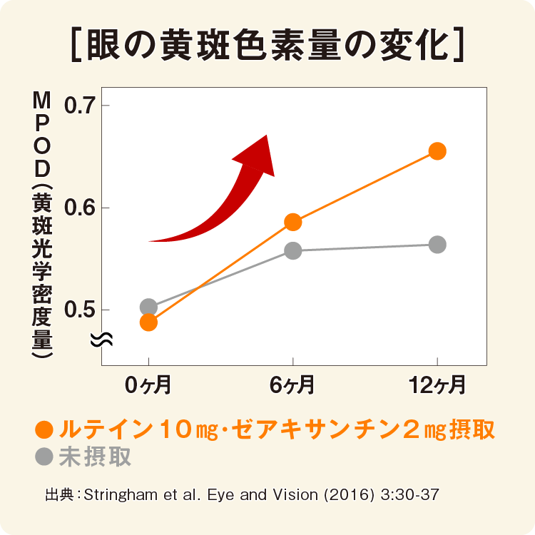 眼の黄斑色素量の変化