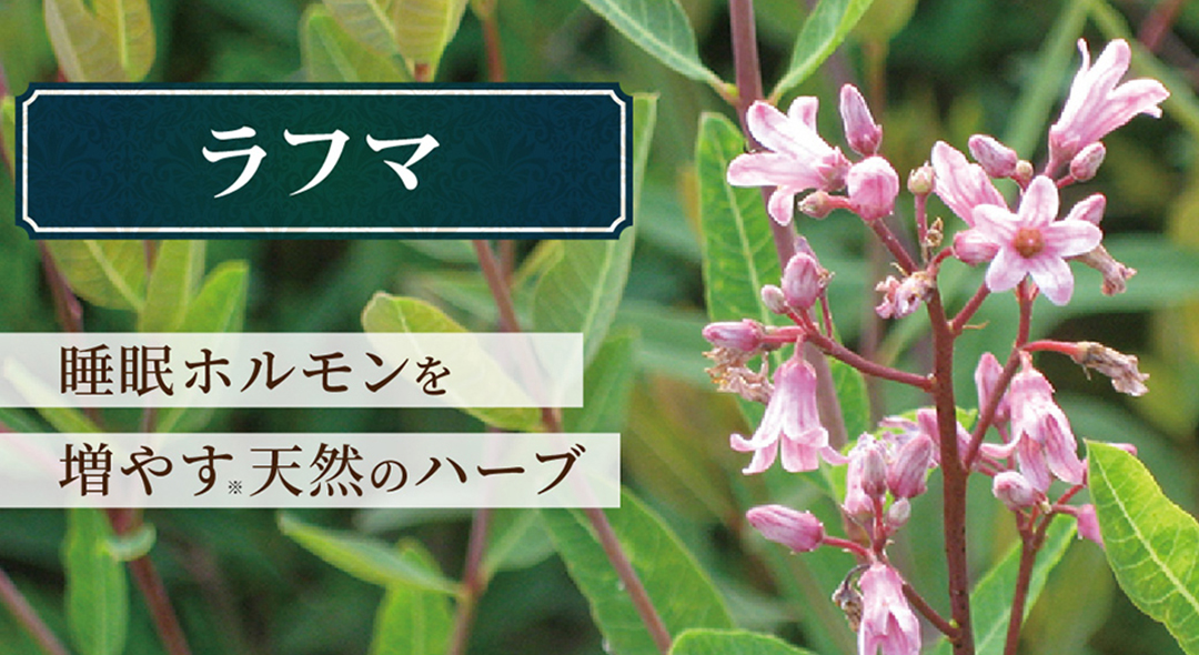 ラフマ