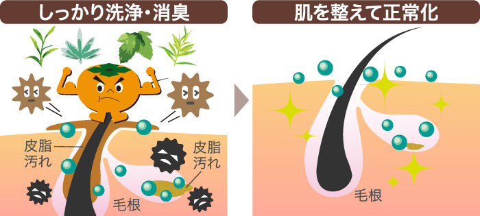 薬用デオドラントソープ｜体臭・加齢臭の原因を殺菌洗浄消臭！｜グリーンハウス公式