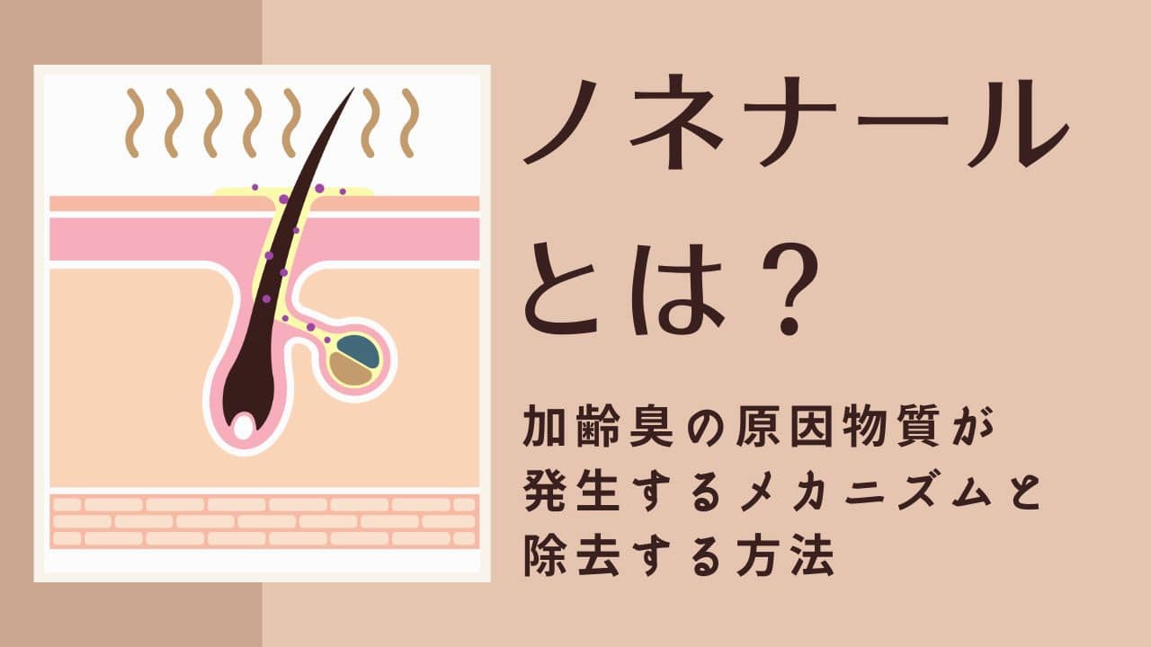 ノネナールとは？ 加齢臭の原因物質が発生するメカニズムと除去する方法を解説