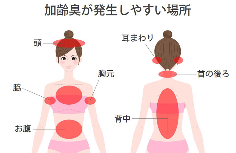 加齢臭が発生する場所