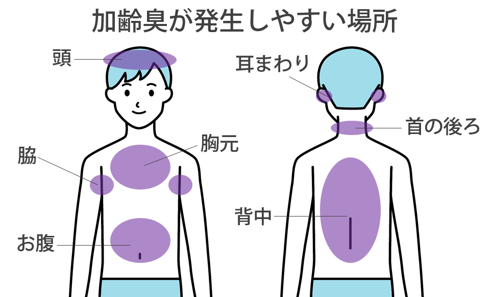 加齢臭が発生する場所