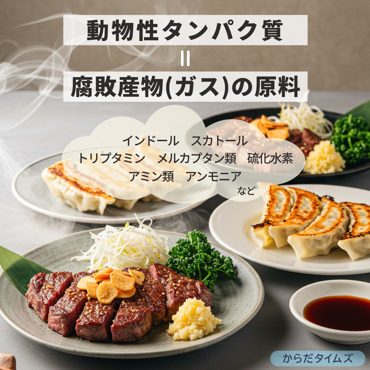 動物性たんぱく質