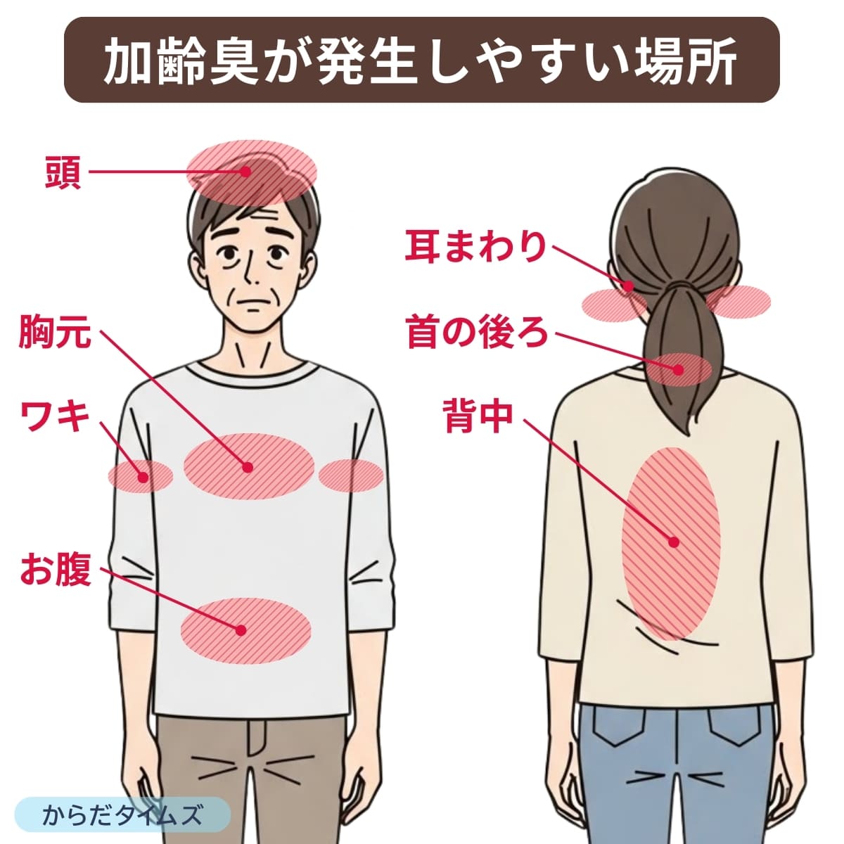 加齢臭が発生する場所