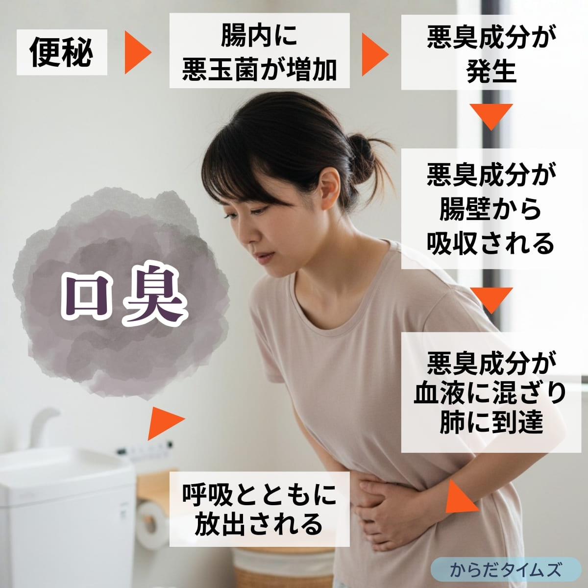 腸内環境の乱れが口臭の原因に