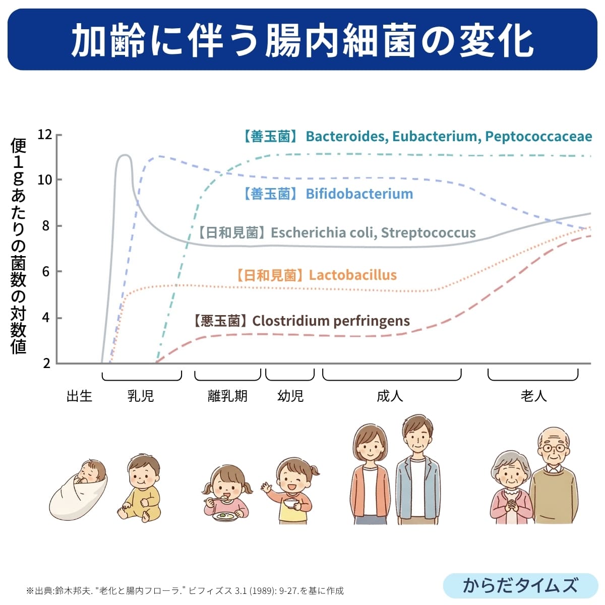 加齢に伴う腸内細菌の変化