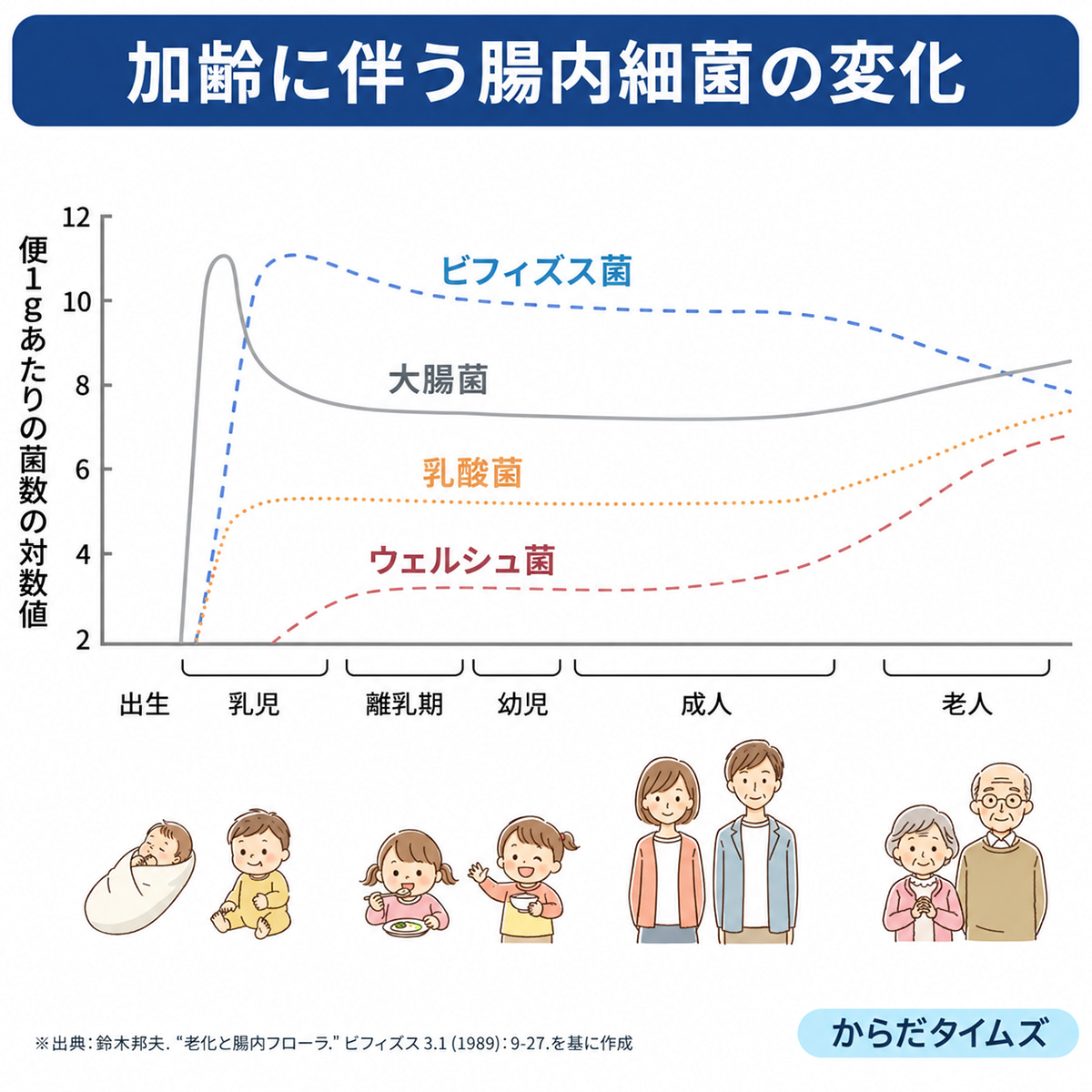 加齢に伴う腸内細菌の変化