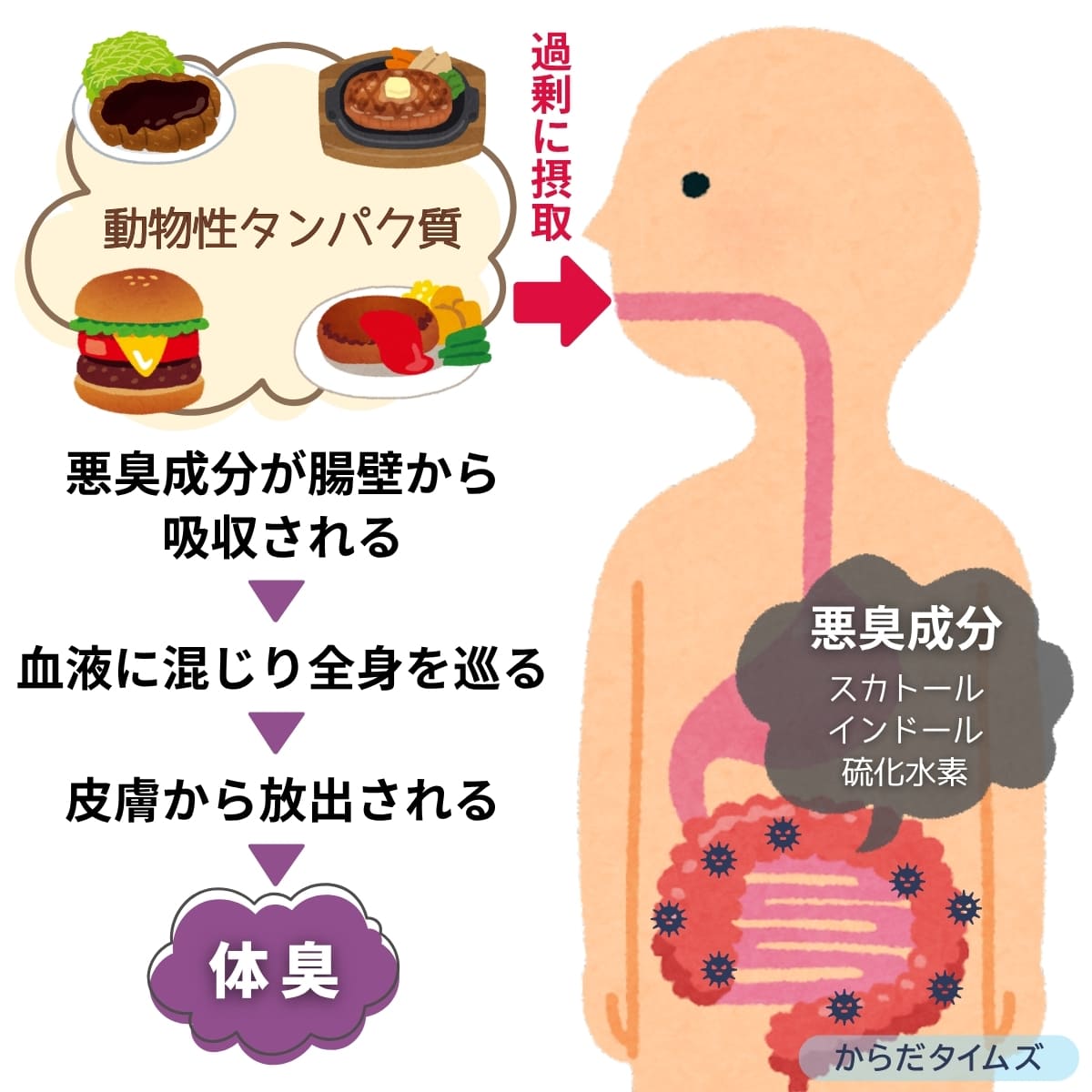 悪臭成分が体臭となる仕組み