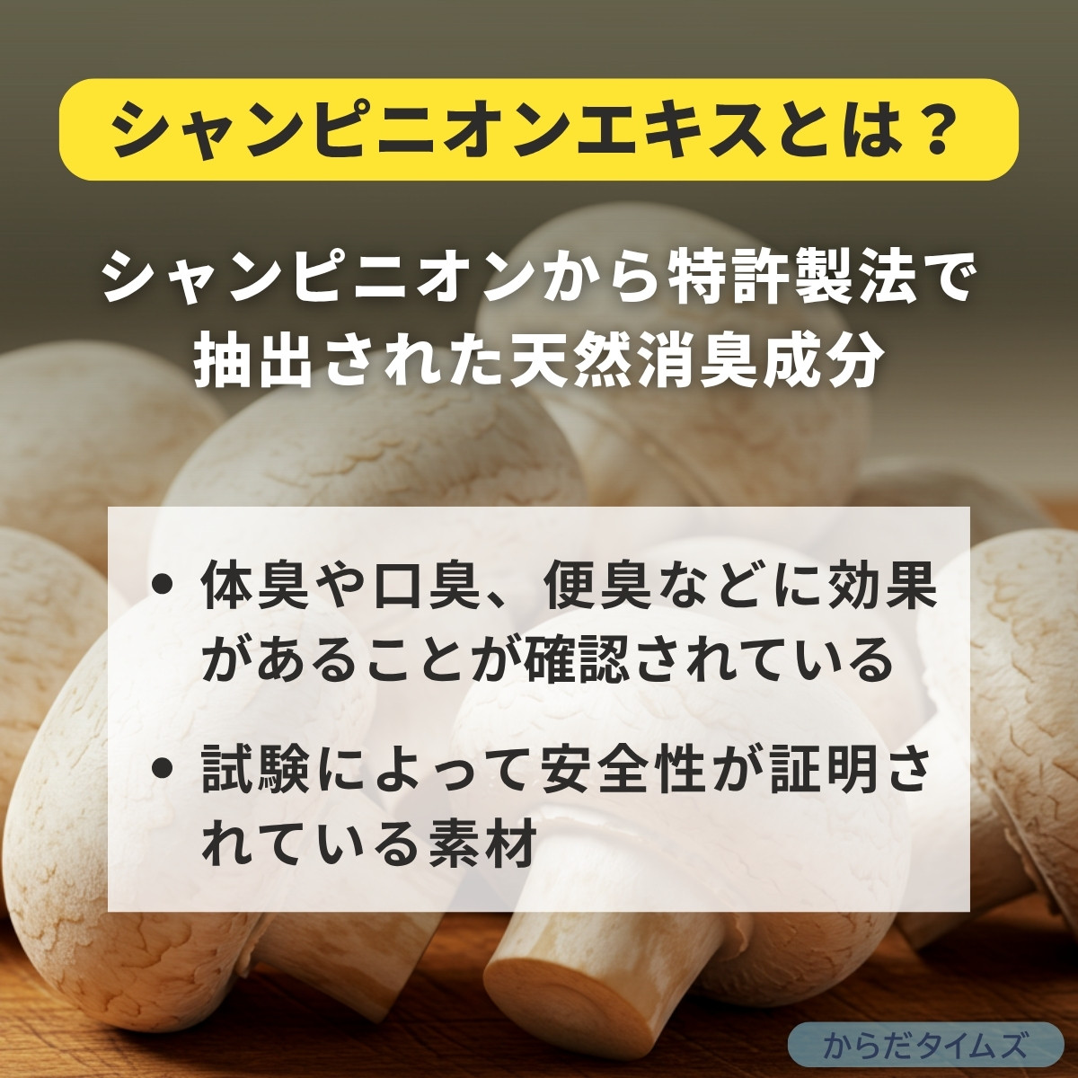 天然消臭成分　シャンピニオンエキス