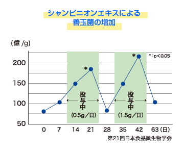 ビフィズス菌が増加