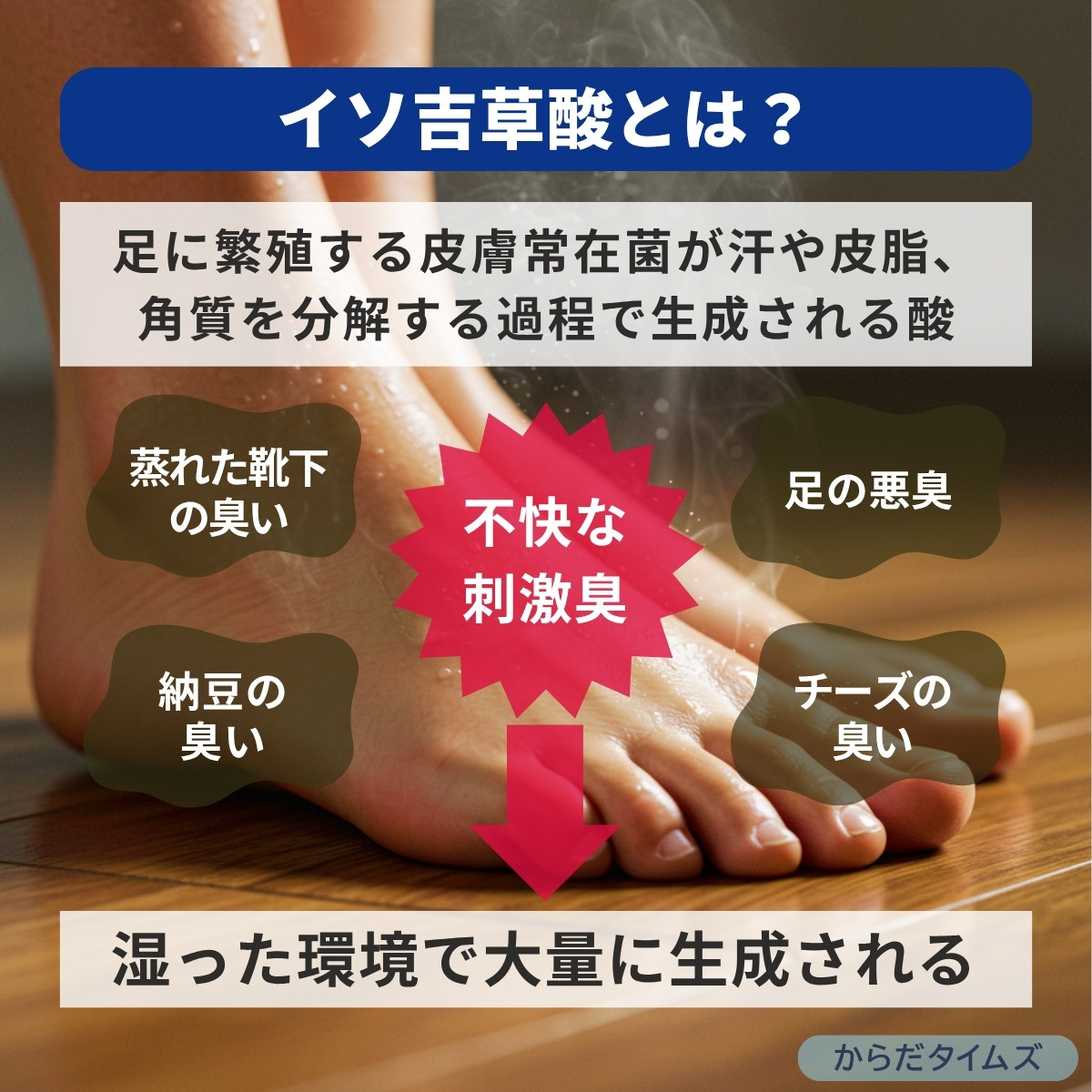 イソ吉草酸とは