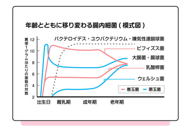 赤ちゃんの口臭が変化しやすい離乳食期