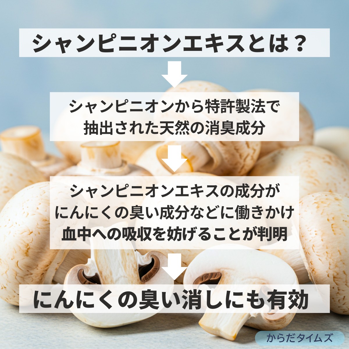 シャンピニオンエキスがにんにくの臭い消しに有効