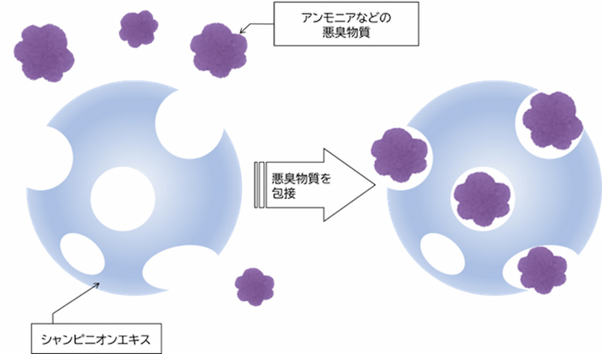 包接作用
