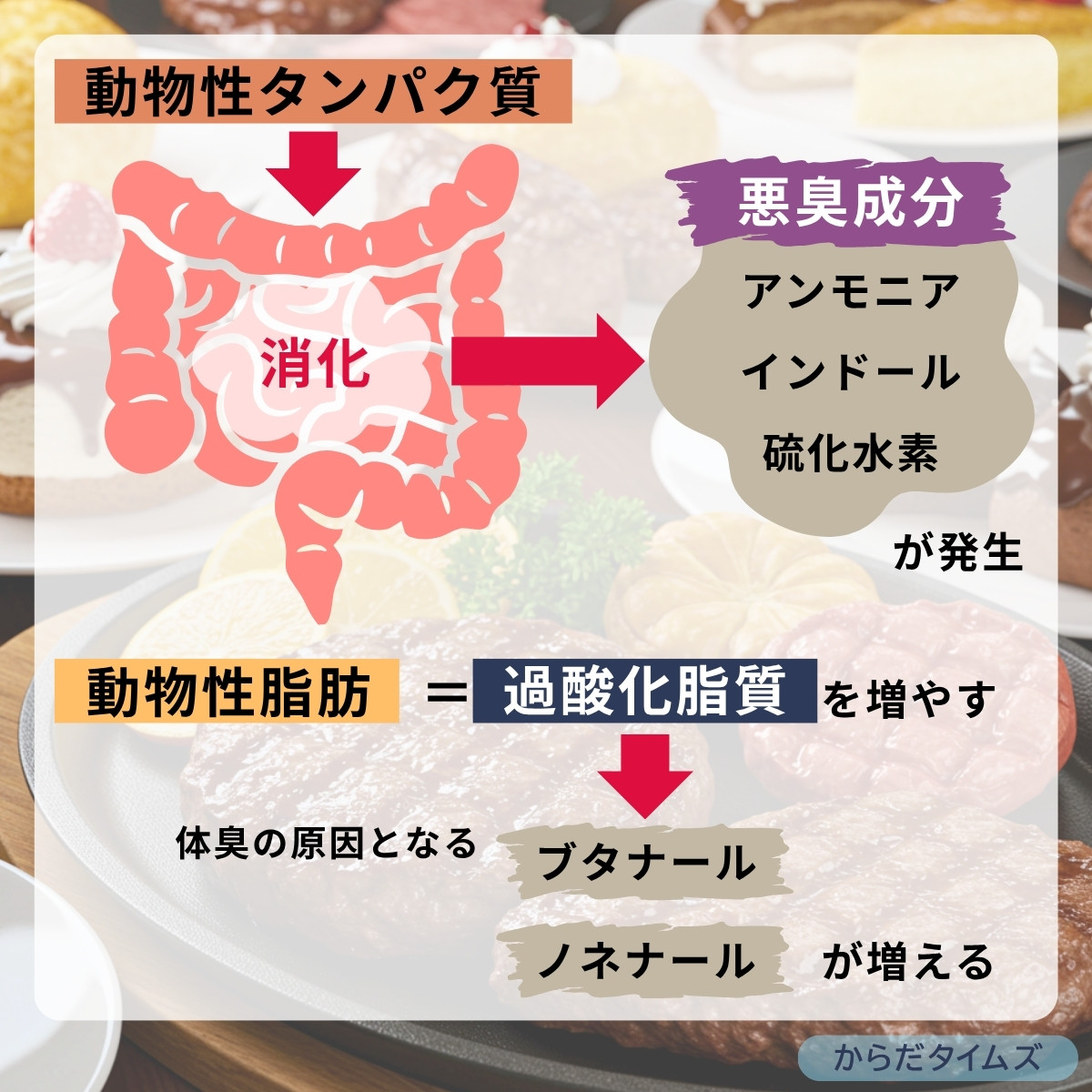 動物性タンパク質や動物性脂肪は体臭の原因に