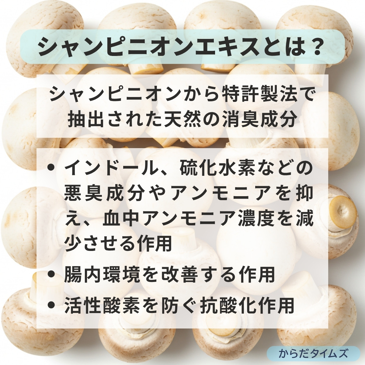 シャンピニオンエキスにはアンモニア臭を抑える作用があるy