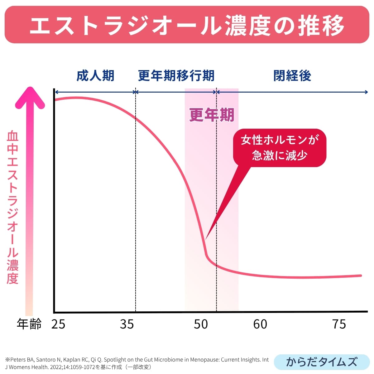 女性ホルモンのエストラジオール濃度の推移グラフ