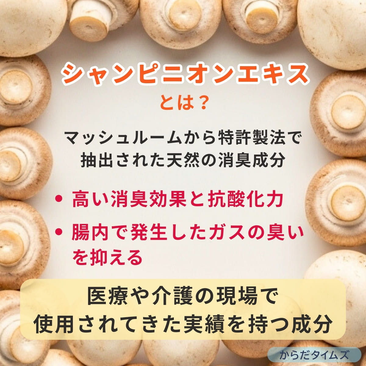 シャンピニオンエキスの作用