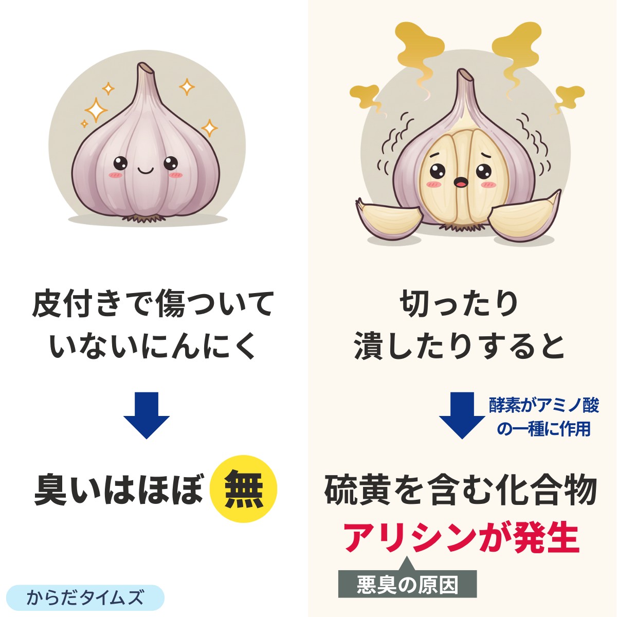 アリシンが発生する仕組み