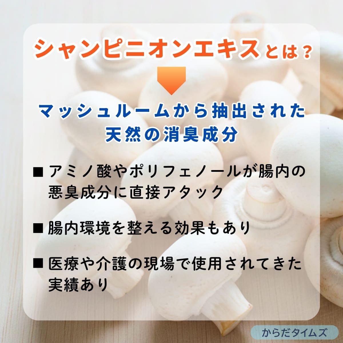 シャンピニオンエキスの作用