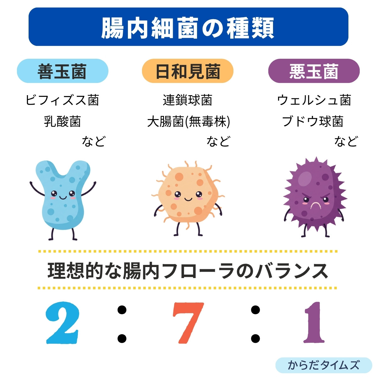 理想的な腸内フローラのバランス