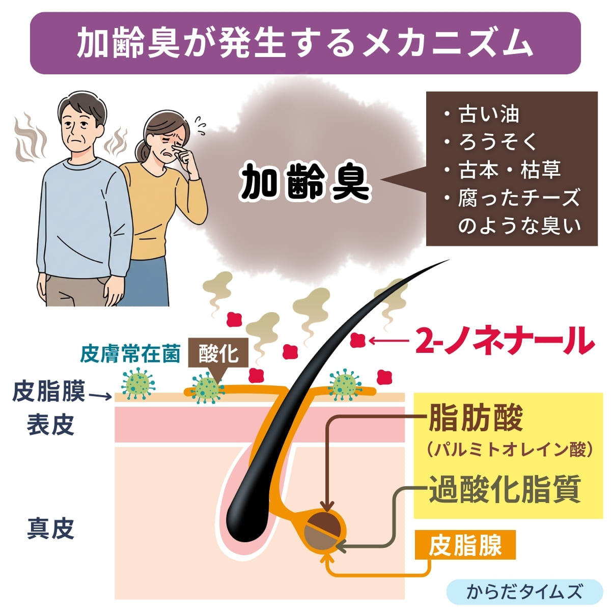 加齢臭の原因である物質・ノネナールが発生するメカニズム