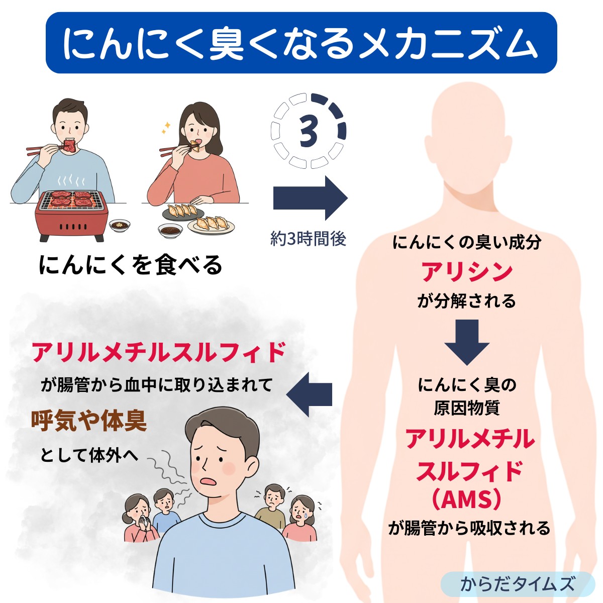 口臭がにんにく臭くなるメカニズム