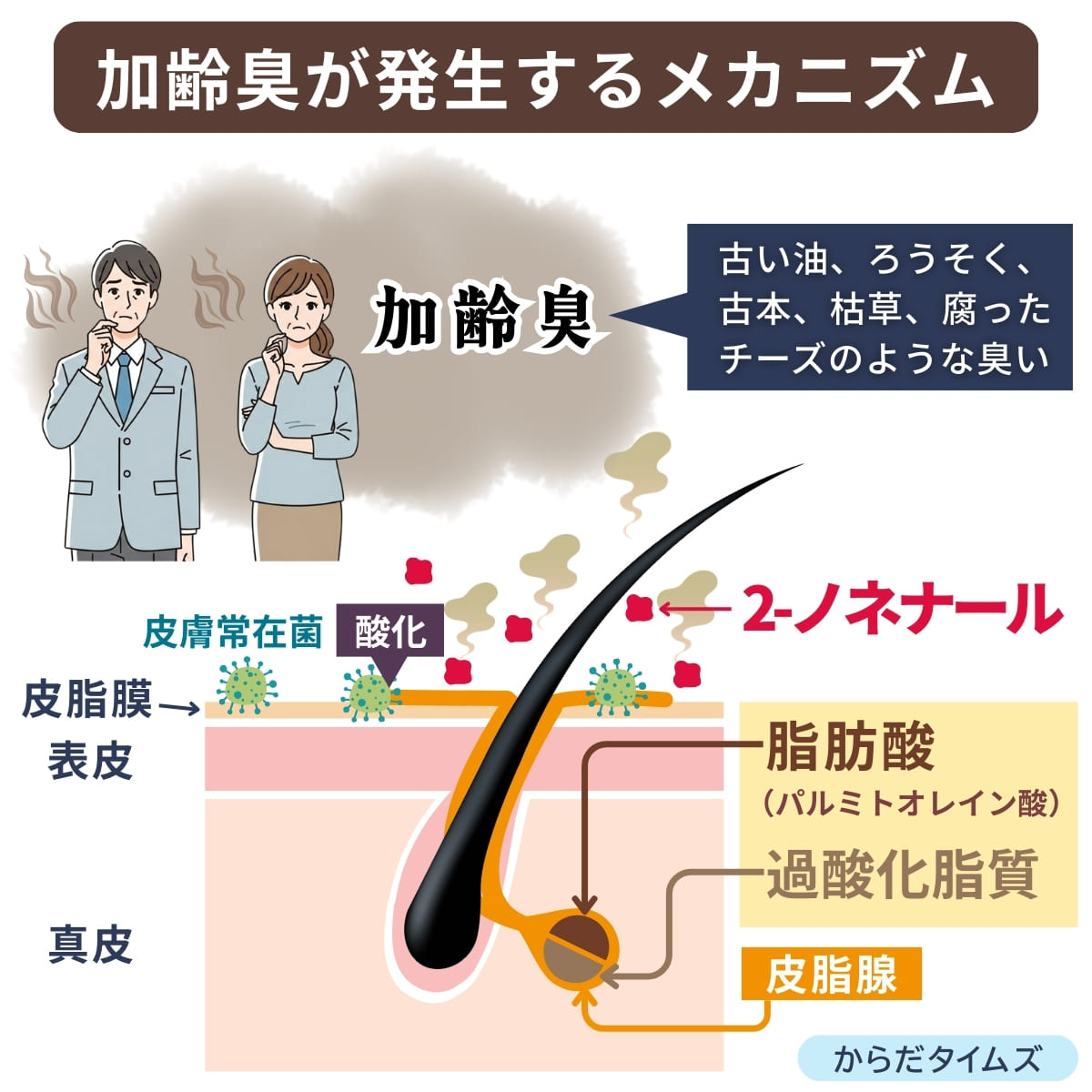 加齢臭が発生するメカニズム,ノネナールとは