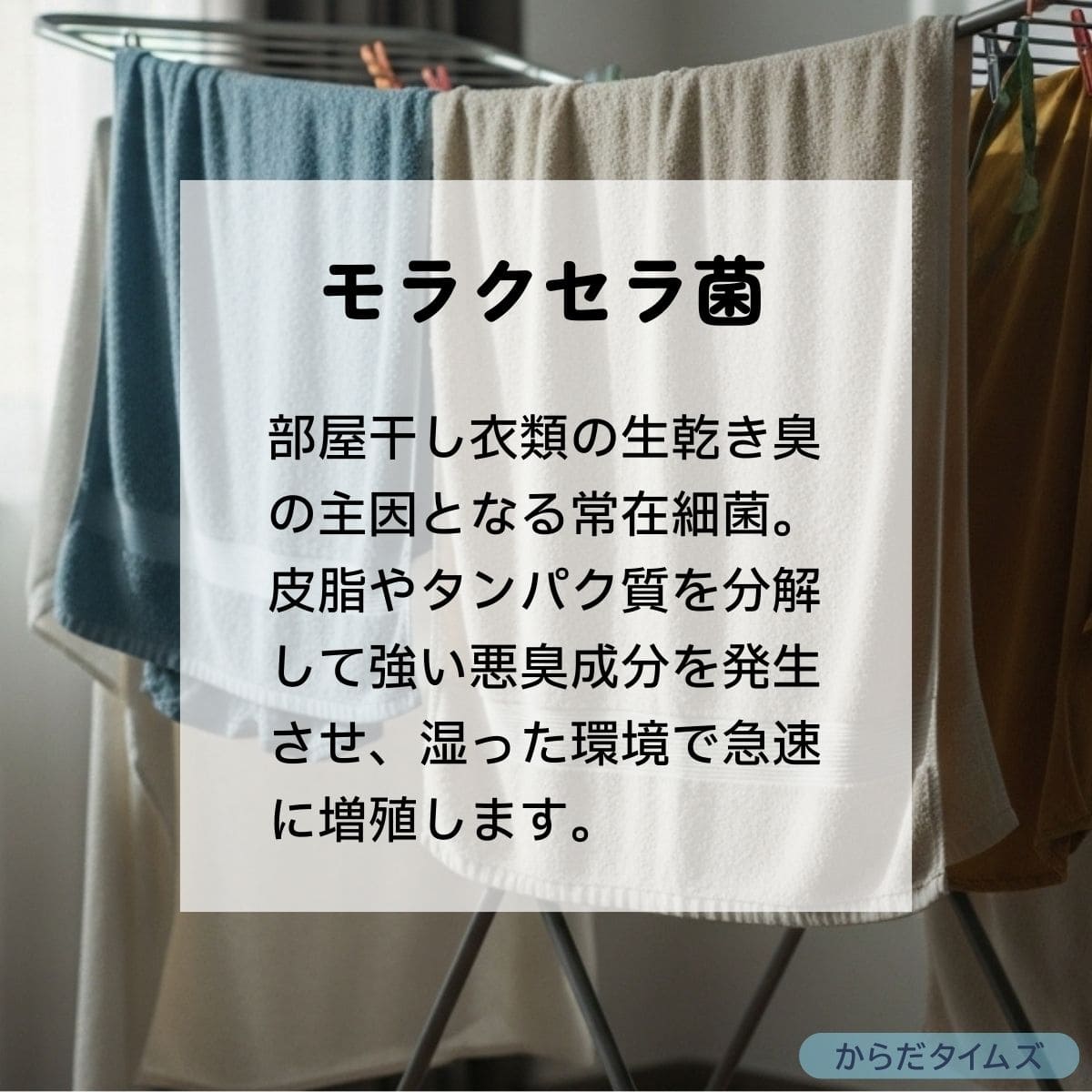 モラクセラ菌とは