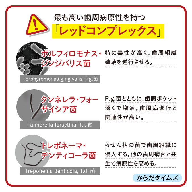 レッドコンプレックス