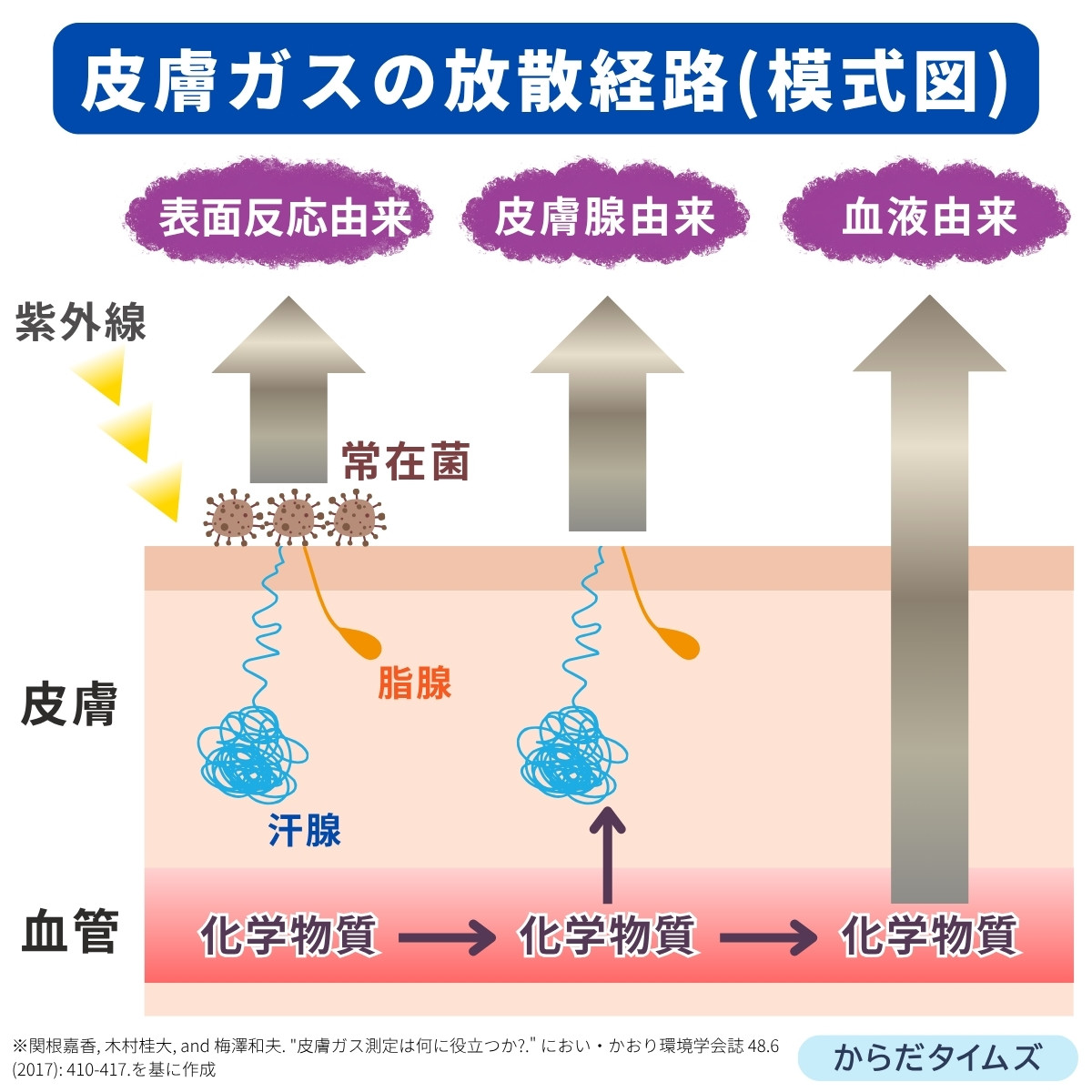 体臭の原因となる皮膚ガス