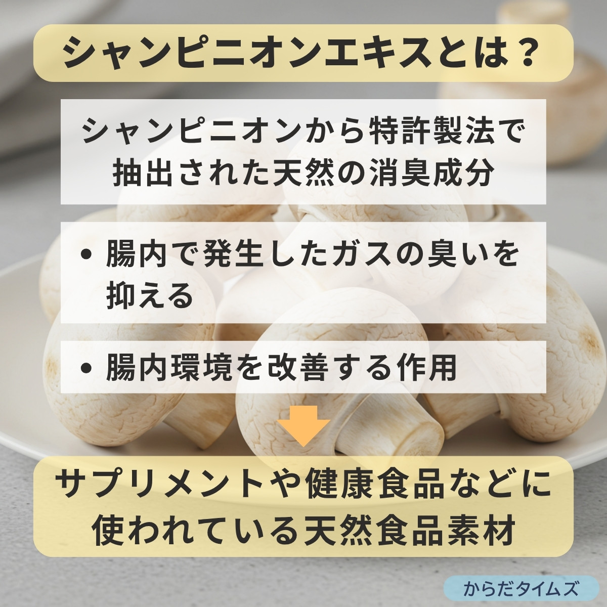 シャンピニオンエキスでうんちの臭い対策